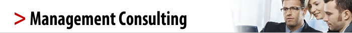 Management Consulting